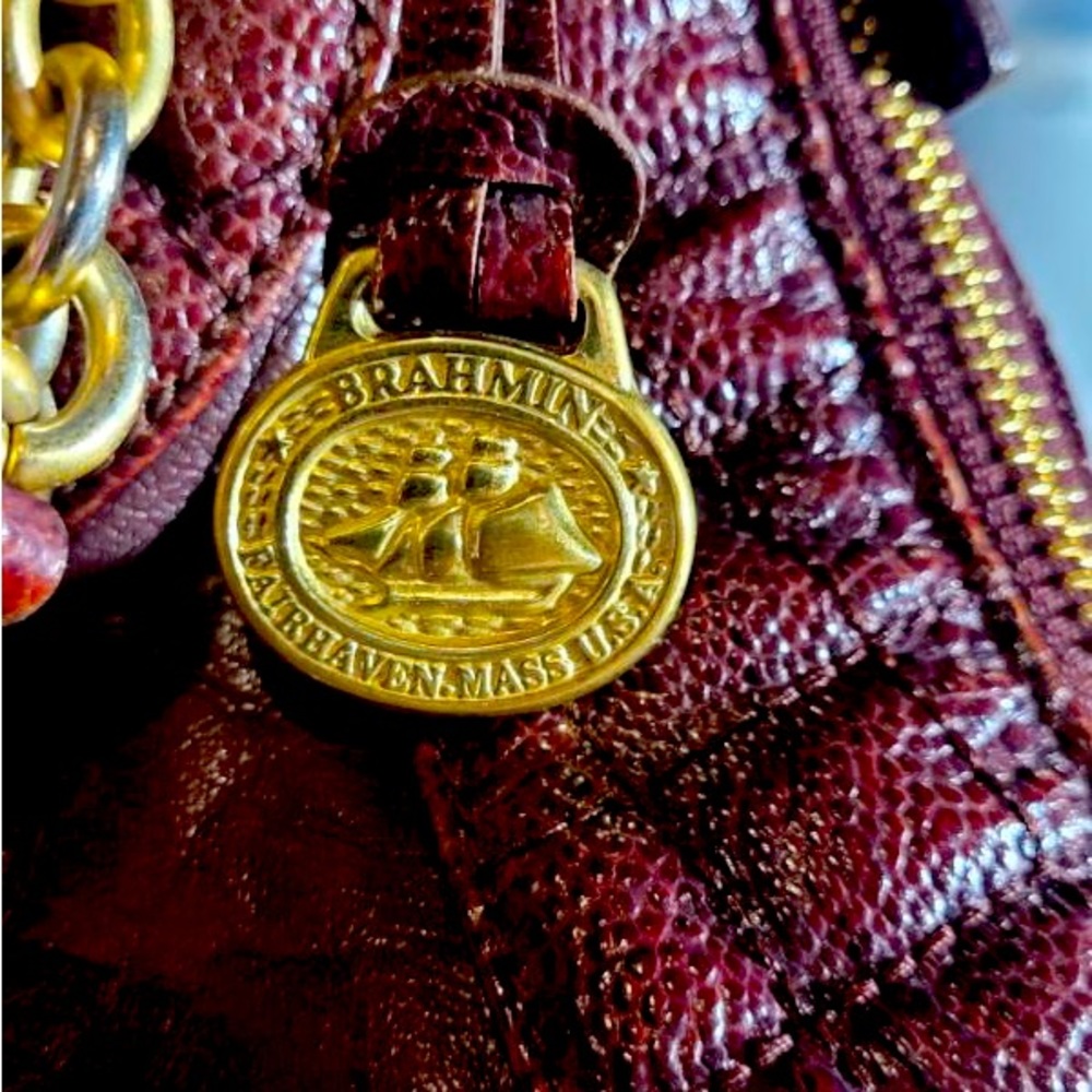 Brahmin - Picture 5 of 6